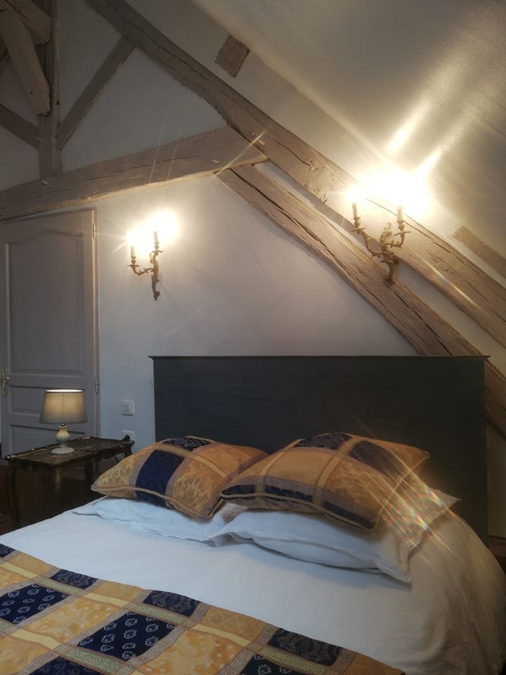 240420112 637837333846076 6482005760134331438 n