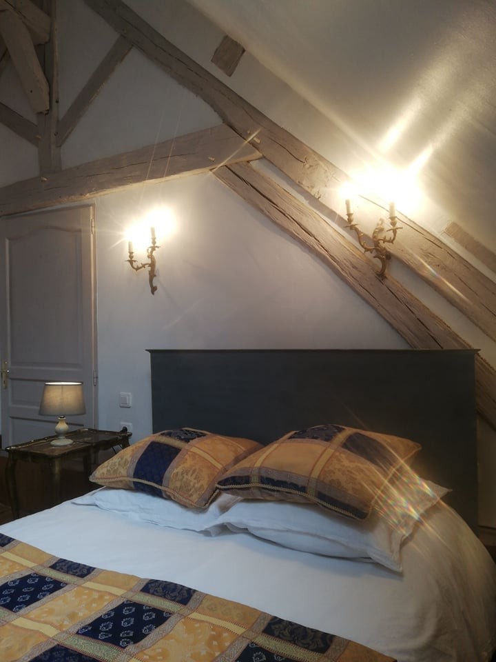 240690783 4065347880241729 2346738396342481419 n