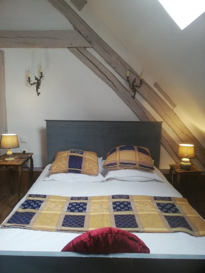 240761890 4325886380839337 3218927407602951448 n