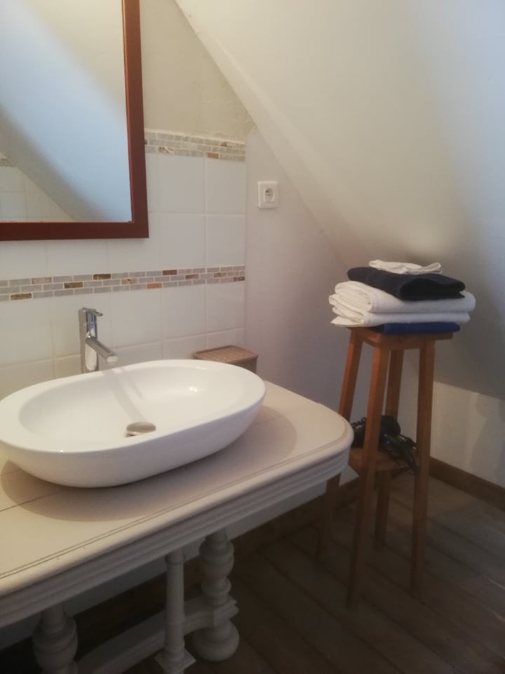 240896550 538786864114451 5201818443404468055 n