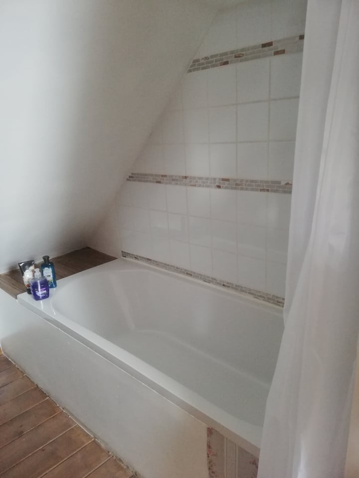 240937159 558639251855905 1277651477435536818 n