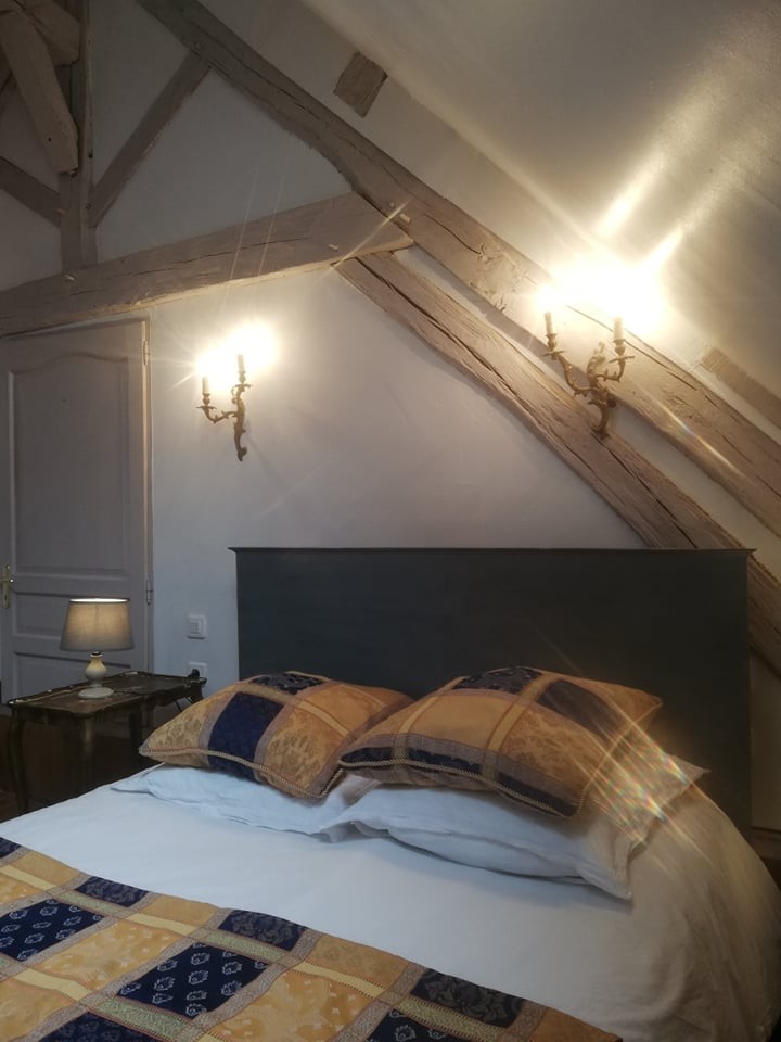 241220303 843589883215739 8850997213118969544 n